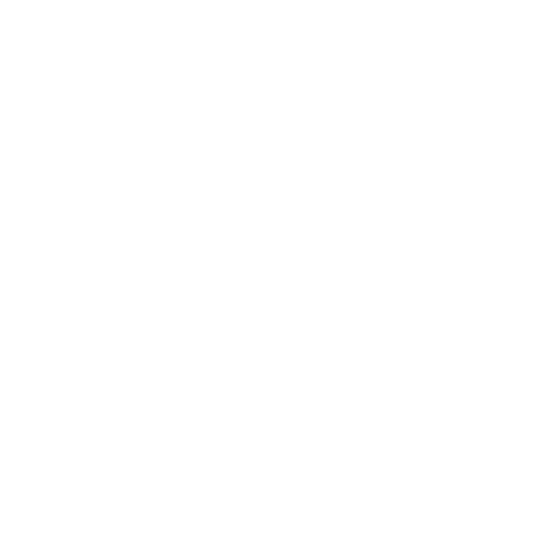 didesir logo